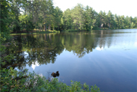Wilmot, NH - Tannery Pond